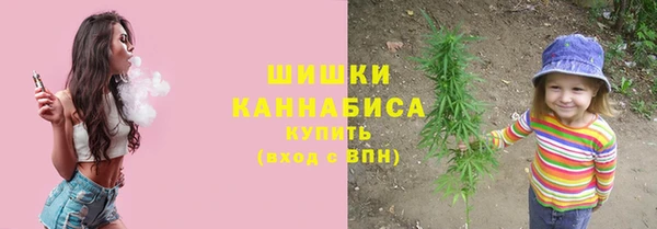 apvp Долгопрудный