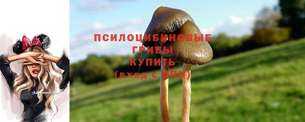 apvp Долгопрудный