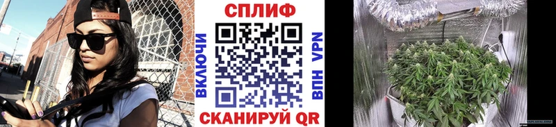 Купить закладки  Вельск  Шишки марихуана конопля 
