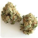 Шишки "White Widow"  (Белая вдова)  Гидропоника -  Бошка VHQ в Вельске